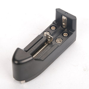 Universal AA / AAA / 9V / F8 / C / D Battery Charger (AC 100~240V / 2-Flat-Pin Plug)