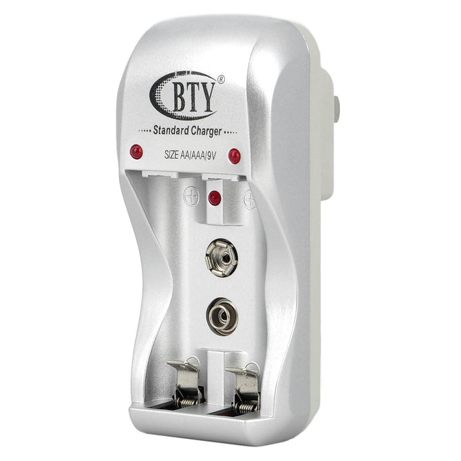 1 x 9V / 2 x AA / AAA Batteries AC Charger (AC 100~240V / 2-Flat-Pin Plug)