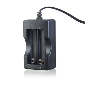 Dual-Slot 18650 Lithium Battery Charger (AC 100~240V / US Plugss / 65cm)