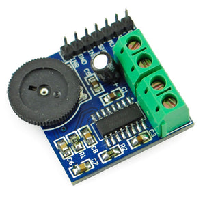 Dual-Channel Amplifier Module - Blue