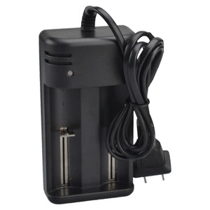 SingFire HG-1210W Double Groove Intelligent Rapid AC Power Charger