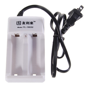 Lithium Battery Charger for 18650 (110V~240V)