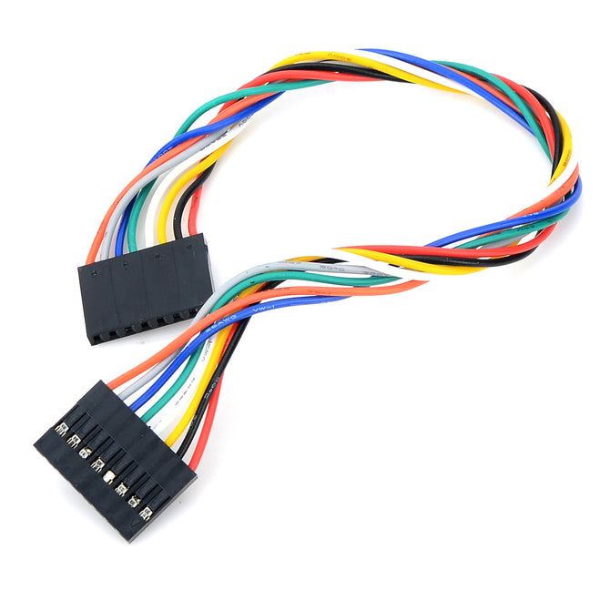 8 Pin 2.54 Pitch Dupont Wire - Multicolored (21cm)