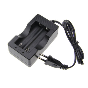 BestFire U-205 EU Plug Power Adapter + 3.7V 2500mAh 18650 Battery