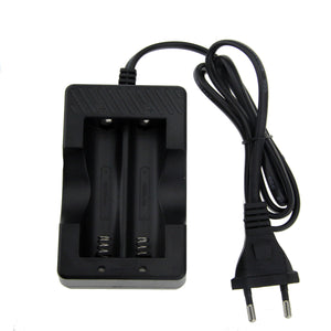 FandyFire EU Plug 18650 Battery Charger Double Slot Seat Cable Charger
