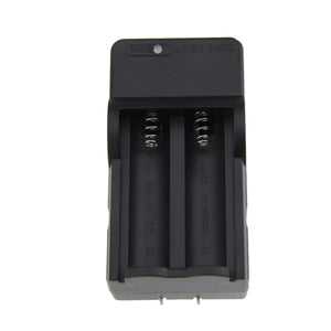 FandyFire 14500 US Double Slots Battery Charger
