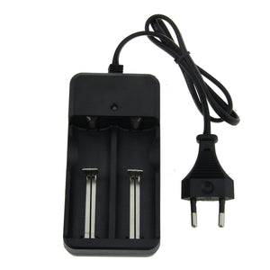 FandyFire Lithium-Ion Battery Charger EU Universal Charger - Black