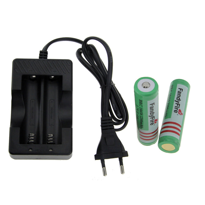 FandyFire EU Plug Charger + 3.7V 2000mAh 18650 Protected Battery
