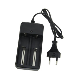 FandyFire EU Plug Charger + 3.7V 2000mAh 18650 Rechargeable Battery