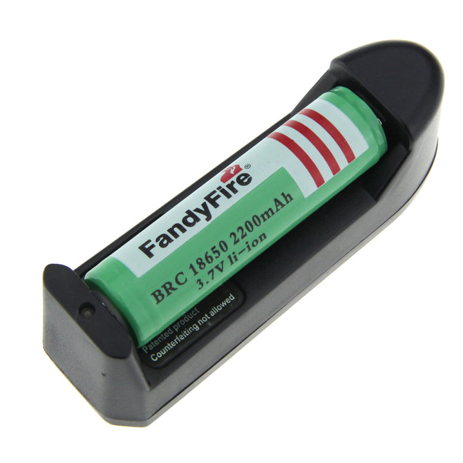 FandyFire EU Single Charger + 3.7V 2000mAh 18650 Rechargeable Battery