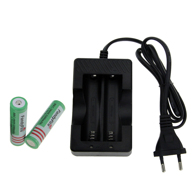 FandyFire EU Plug Battery Charger + 3.7V 2000mAh 2*18650 Batteries
