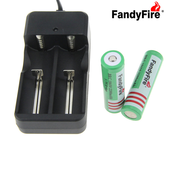 FandyFire US Battery Charger + 3.7V 2000mAh 18650 Rechargeable Battery