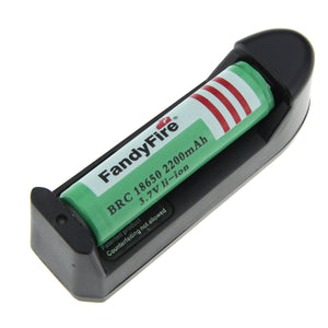 FandyFire US Plugss 1-Slot Charger + 2000mAh 18650 Battery