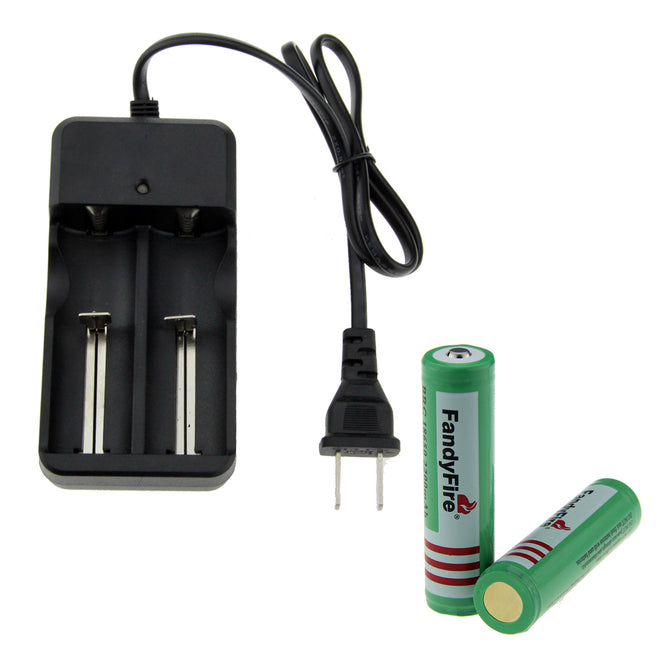 FandyFire US Battery Charger + 2000mAh 18650 Rechargeable Battery
