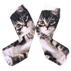 Creative Spoof Cat Printing Cotton Socks - Black + Multicolored (Pair)