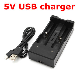 ZHAOYAO DC 5V Dual Slot USB Battery Charger - Black