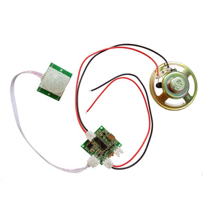 5V Infrared Sensor Voice Combination Module (Random Color)