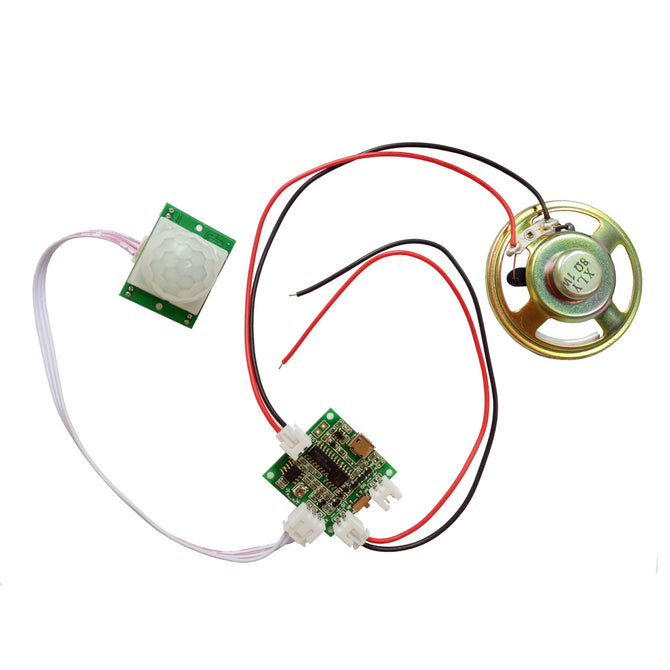 5V Infrared Sensor Voice Combination Module (Random Color)