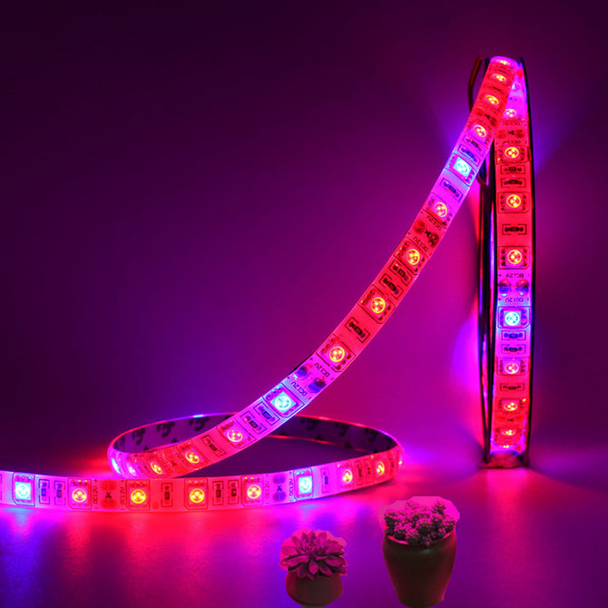 5m 300-5050 SMD LED Plant Growing Full Spectrum LED Strip Light, 5 Red + 1 Blue Light, IP65 Waterproof