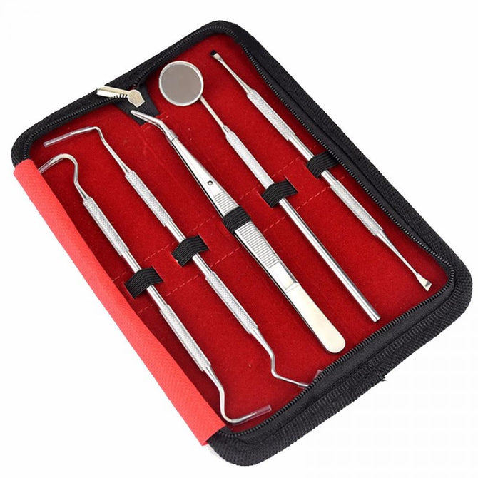 5pcs Dentist Tool Stainless Steel Teeth Clean Tweezer Scraper Scaler Mirror Dental Probe Dental Hygiene Oral Care Set