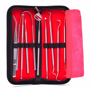 9pcs Stainless Steel Dental Tools Kit Teeth Mouth Mirror Dentists Pick Tool Teeth Tongue Scraper Tool Set Silver