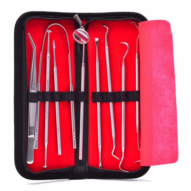 9pcs Stainless Steel Dental Tools Kit Teeth Mouth Mirror Dentists Pick Tool Teeth Tongue Scraper Tool Set Silver