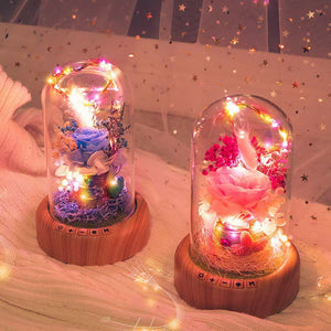 Creative Bluetooth Audio Speaker Wishing Streamer Bottle LED Nightlight Decorative Gifts Decorative Light RGB/Pink/0-5W