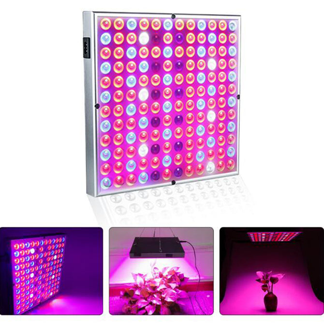 JRLED 30W 2835 SMD 144-LED Multi Color Mixing Growth Lamp for Plants Flower Growing Indoor Hydroponics Greenhouse, AC85-265V
