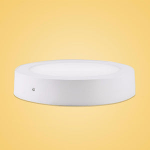 Circular LED Downlight, Ultra Thin Round Corridor Porch Ceiling Lamp Spotlight For Home Living Room White/21-30W/Neutral Light